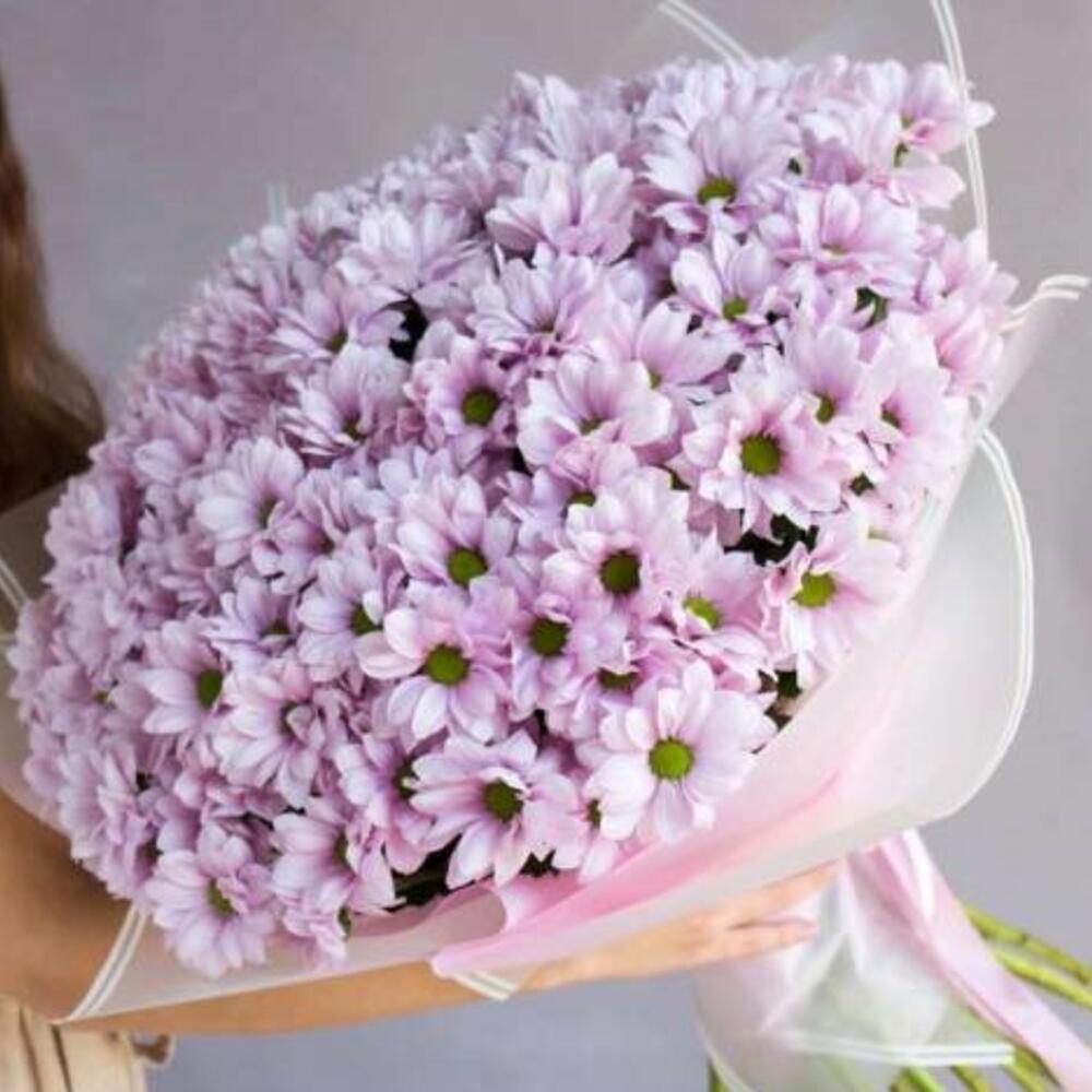 25 веток хризантемы